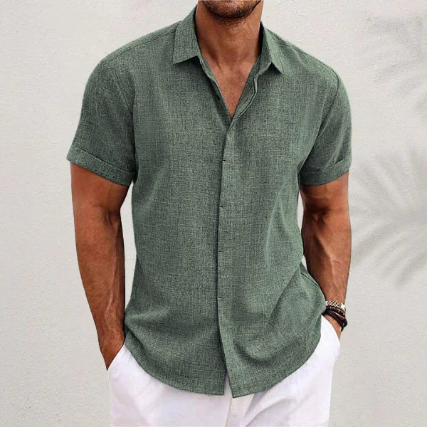 David - Camisa clásica de lino