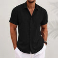 David - Camisa clásica de lino