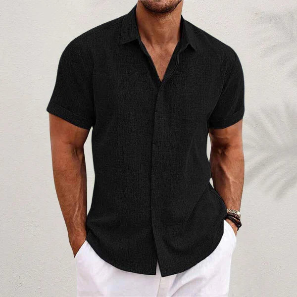 David - Camisa clásica de lino