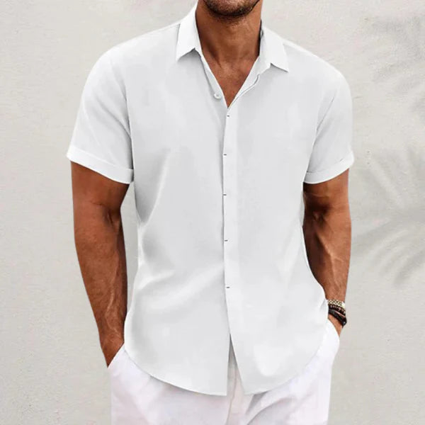 David - Camisa clásica de lino